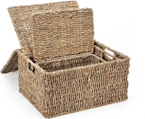 Set of 3 Rectangular Seagrass Baskets with Lids by Trademark Innovations (As Is Item) - Bed Bath & Beyond - 28890160