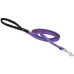 LupinePet Originals 1/2" Jelly Roll 6-Foot Padded Handle Leash for Small Pets