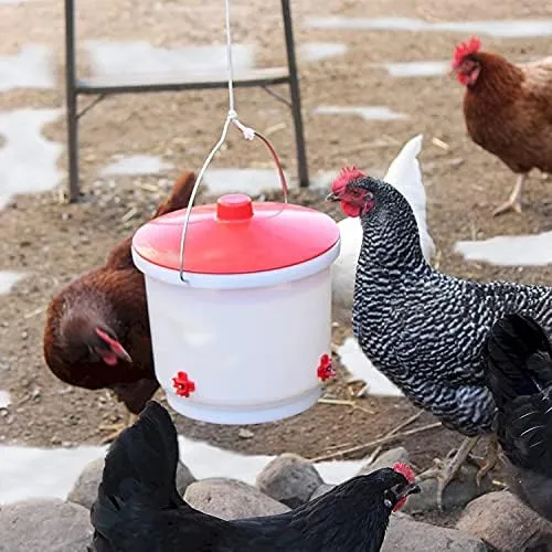 Farm Innovators 2 Gallon Heated Poultry Drinker