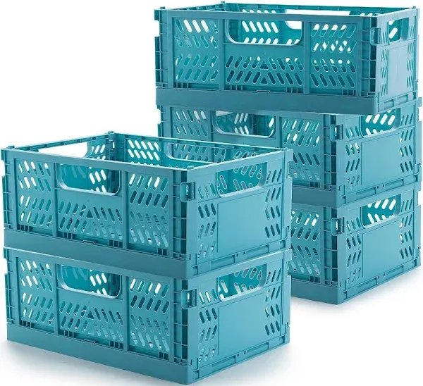 Olyzer 5 Pack Plastic Storage Basket