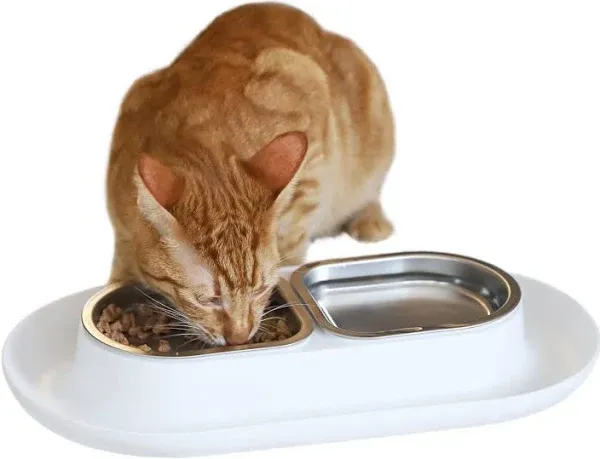 Hepper NomNom - Spill Proof Elevated Cat Bowls for Food and Water - Whisker Relief Cat Bowl + Raised Cat Food Bowls: a Safe Cat Dish for Messy Cats - Stainless Steel Cat Bowl Station