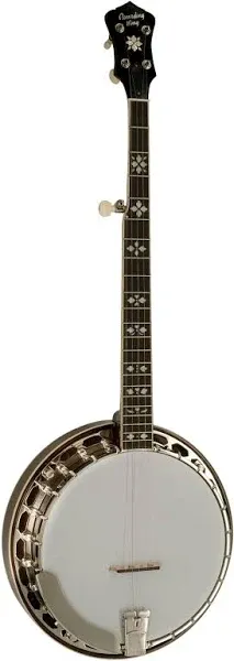 Recording King Bluegrass Series RK-R20 Songster Banjo