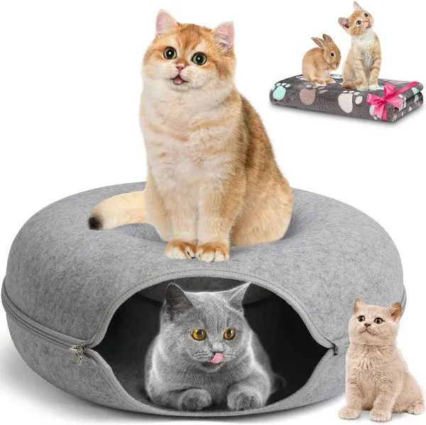 Medium 20 Inch,Cat Tunnel Bed,HOMAGICO Peekaboo Cat Cave with Pet Blanket,Detachable Donut Tunnel Bed for Indoor Cats,Exercise Scratching & Hideway Cat Nest,Cat Up to 8 lbs(Dark Grey)