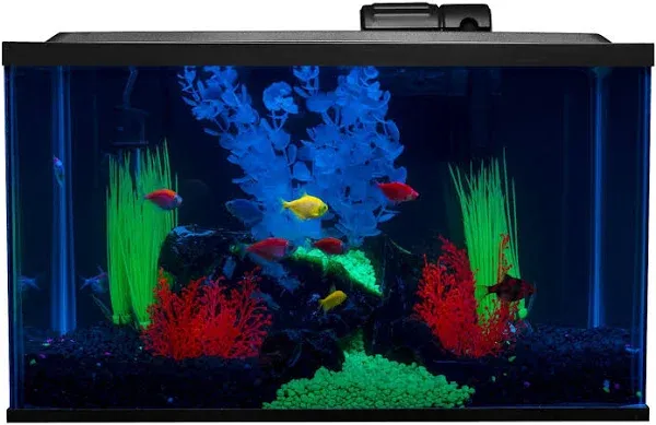 Glofish 10 Gallon Aquarium Fish Tank Kit