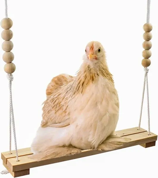 Chicken Swing Toy for Coop Handmade in USA!!! Natural Safe Wooden Accessories...