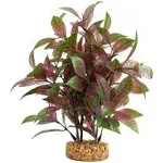 Fluval Broad Leaf Red Ludwigia Plant 8in