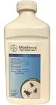 Bayer Maxforce Fly Spot Bait- 1lb Container 