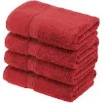 Superior 4-Piece Egyptian Cotton Hand Towel Set