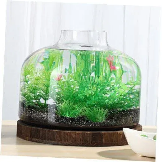 PONDON 2 Gallon Fish Bowl Vase, Glass Plant Terrarium Kit, Complete