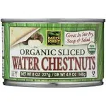 Native Forest Organic Sliced Water Chestnuts