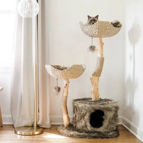 Mau Cento - Modern Wooden Cat Tree & Condo, Brown