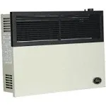 Ashley 17,000 BTU Direct Vent Natural Gas Heater