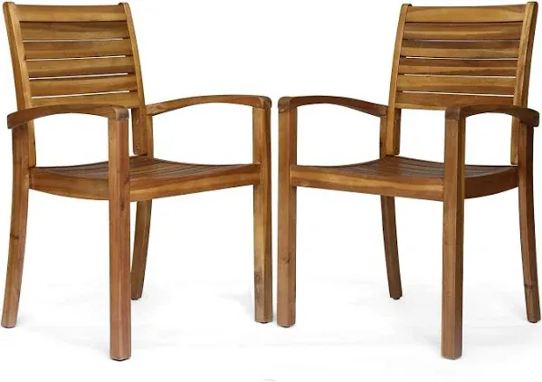 Christopher Knight Home Watts Outdoor Dining Chairs (Set of 2)