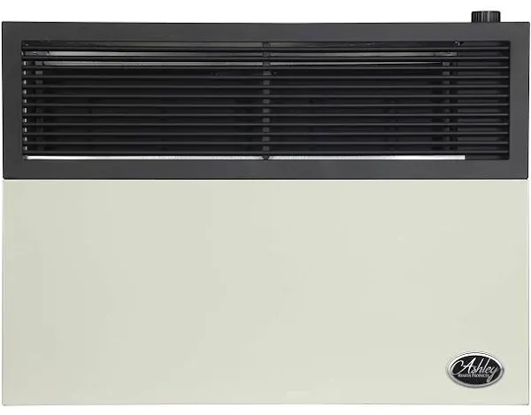 Ashley Hearth Products 17,000 BTU Direct Vent Liquid Propane Wall Mounted Heater