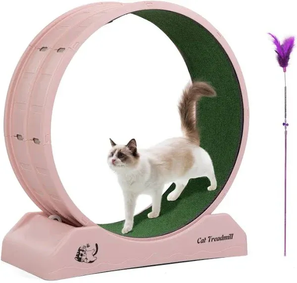 COZIWOW Cat Wheel for Indoor Cats 31.5" Cat Exercise Running Wheel with Locking Mechanism & Removable Carpeted Runway for Cat Weight Loss, Grey