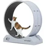 Coziwow Cat Treadmill Exercise Wheel Lockable, Large