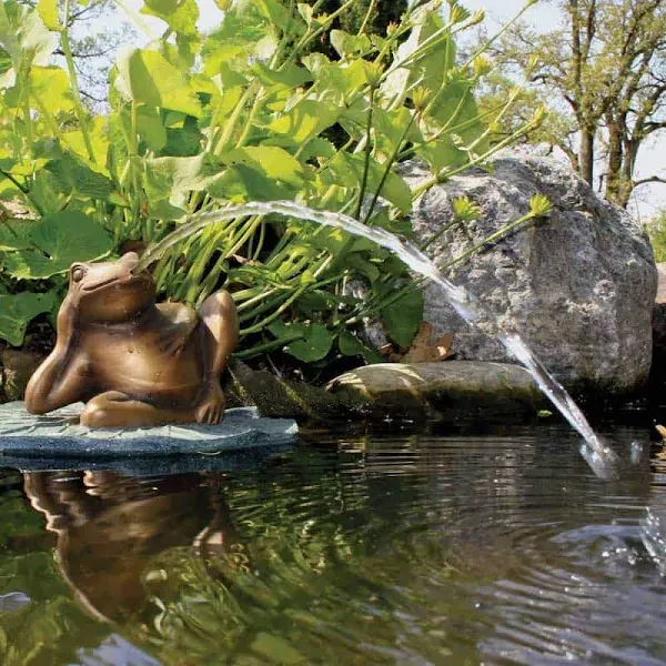 Aquascape - Lazy Frog On Lily Pad Spitter