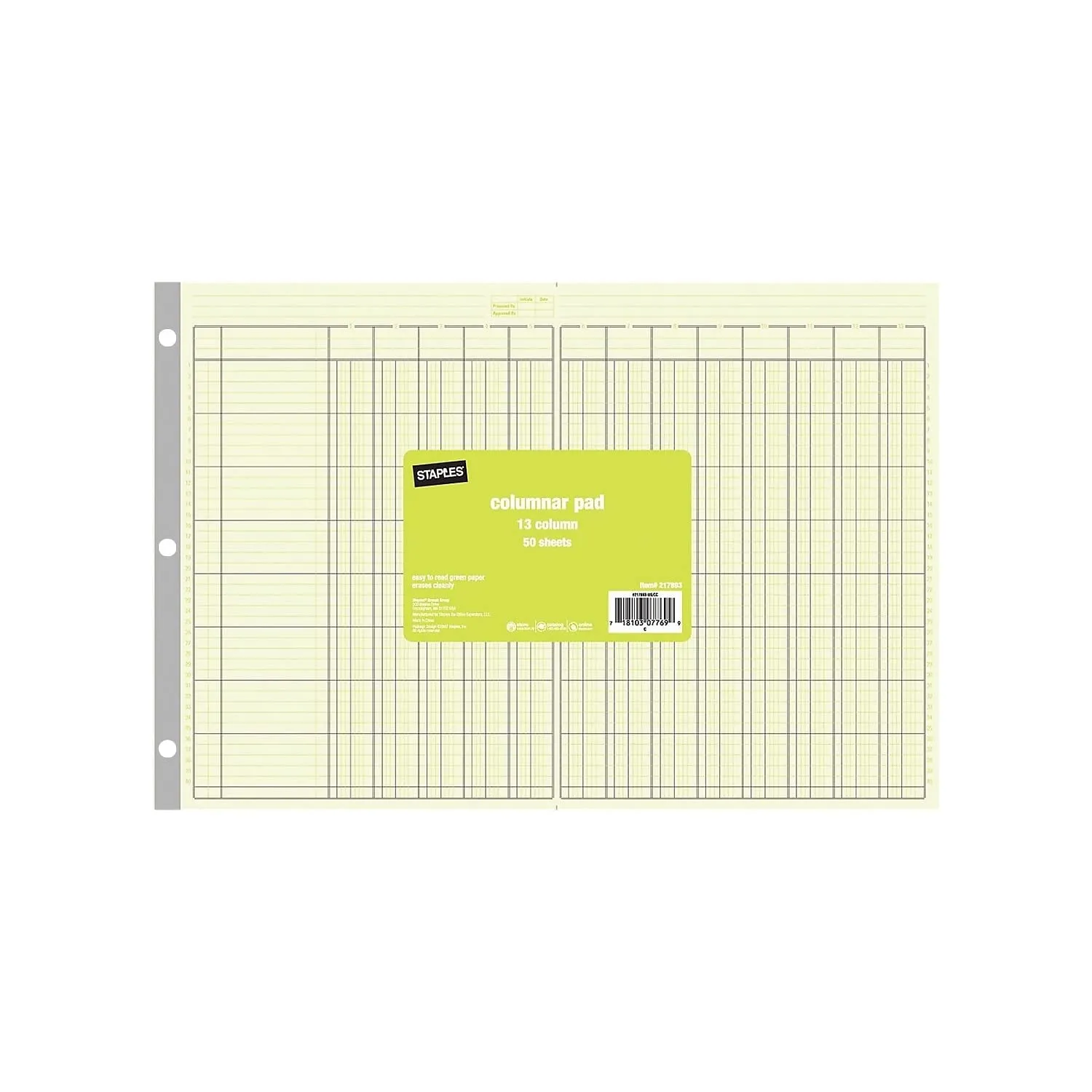 Staples 13 Columns Columnar Book, 16.31"W x 11"H, Green (217893)