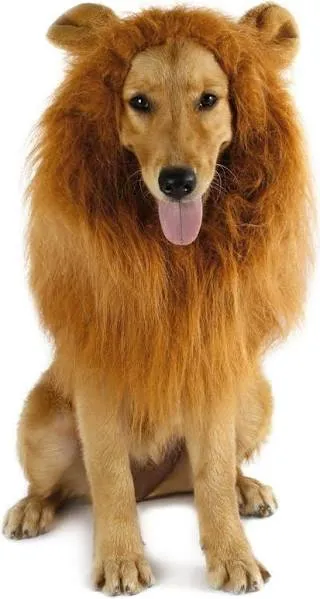 Dog Lion Mane - Halloween Realistic &amp; Funny Lion Mane for Dogs - Complementar..<wbr/>.