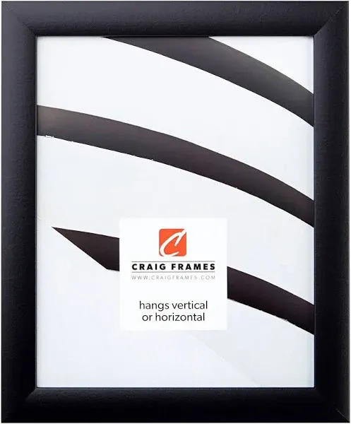 Craig Frames 1wb3bk Picture Frame