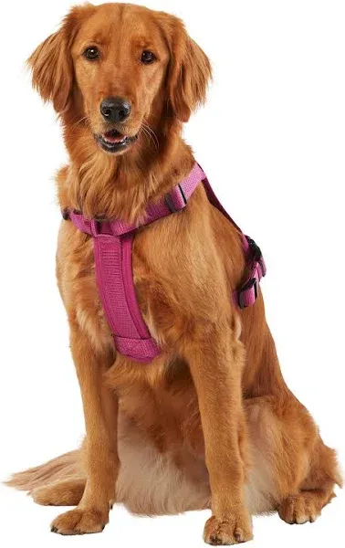 Kong Reflective Waste Bag Dog Harness in Green, Size: Medium | Neoprene PetSmart