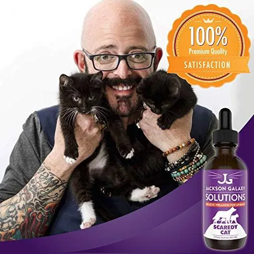 Jackson Galaxy: Scaredy Cat (2 oz.) - Pet Solution - Promotes Sense of Self-Confidence and Reassurance - Perfect for Cats Who Hide and Run from Touch - All-Natural Formula - Reiki Energy