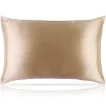 Slip Pure Silk Queen Pillowcase - Caramel