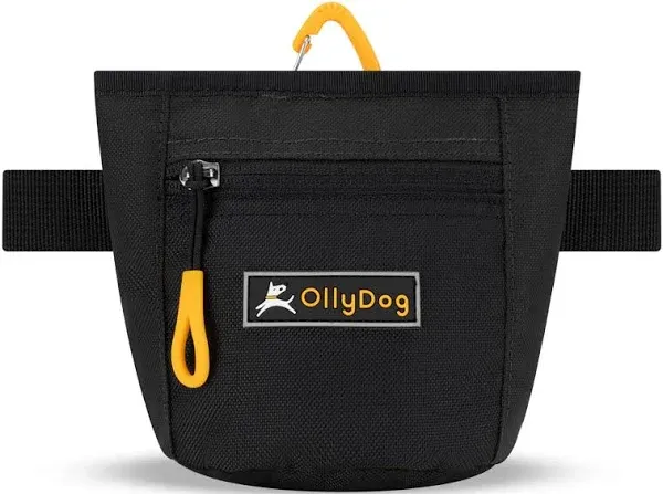 OllyDog Goodie Treat Bag