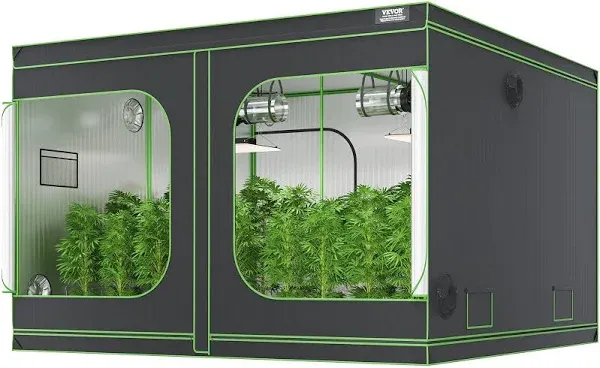 VEVOR 10x10 Grow Tent, 120'' x 120'' x 80'', High Reflective 600D Mylar Hydroponic Growing Tent with Observation Window, Tool Bag and Floor Tray for Indoor Plants Growing, Black + Green