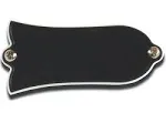 Gibson Truss Rod Cover Blank | American Musical Supply