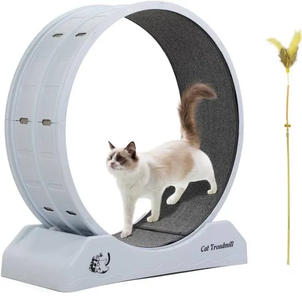 Cat Treadmill Exercise Wheel Lockable, Large