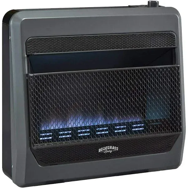 Bluegrass Living 30,000 BTU Propane Gas Vent Free Blue Flame Gas Space Heater with Blower and Base