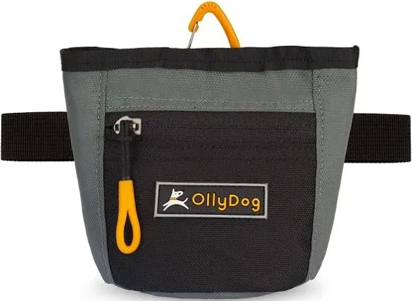 OllyDog Goodie Treat Bag