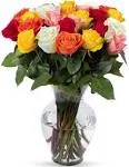 , 24 Stem Rainbow Roses, Glass Vase Included, Gift Fresh Flowers for Birthday...