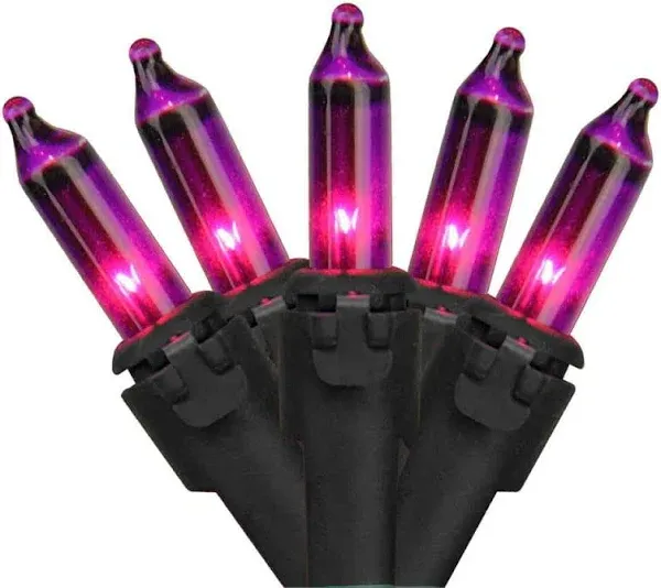 Northlight Mini Christmas Light Set Purple