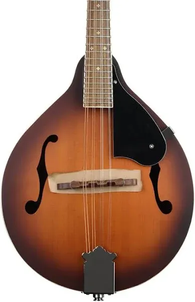 Fender PM-180E Mandolin - Aged Cognac Burst