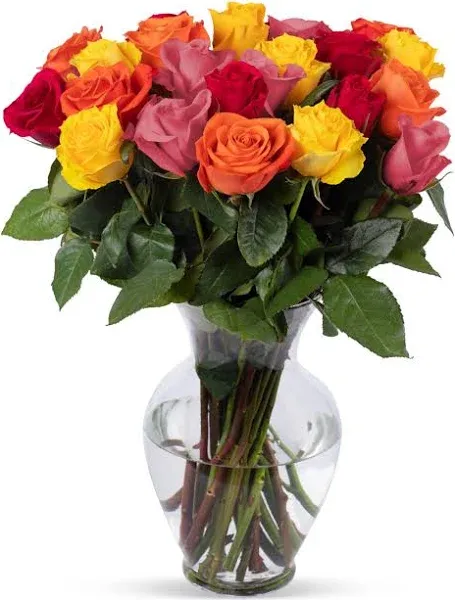 , 24 Stem Rainbow Roses, Glass Vase Included, Gift Fresh Flowers for Birthday...