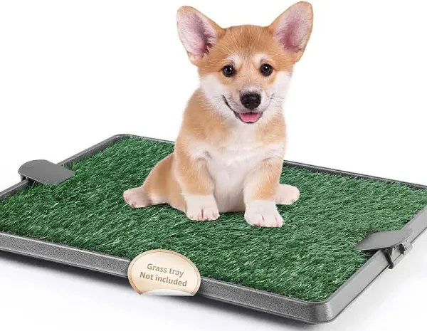 LOOBANI 33.2in x 21in Replacement Artificial Grass Puppy Training Pads, Quickly Absorbency Portable Dog Potty Grass, Fit 35x23in Potty Tray(1 Pack)