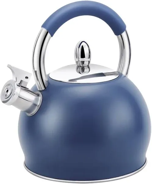 HRHongRui Whistling Tea Kettle