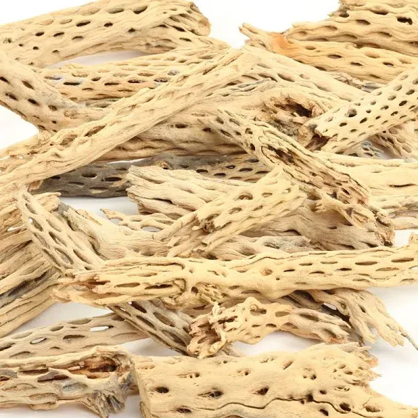 Koyal Wholesale Cholla Wood Aquarium Branches