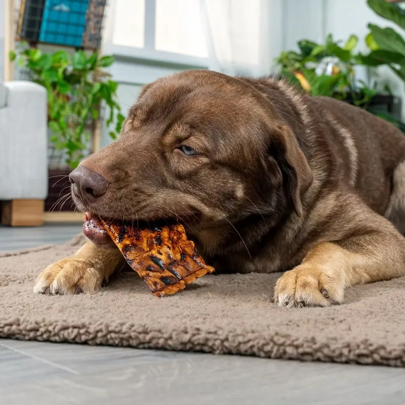 Pet Factory Beef American Beefhide Chips