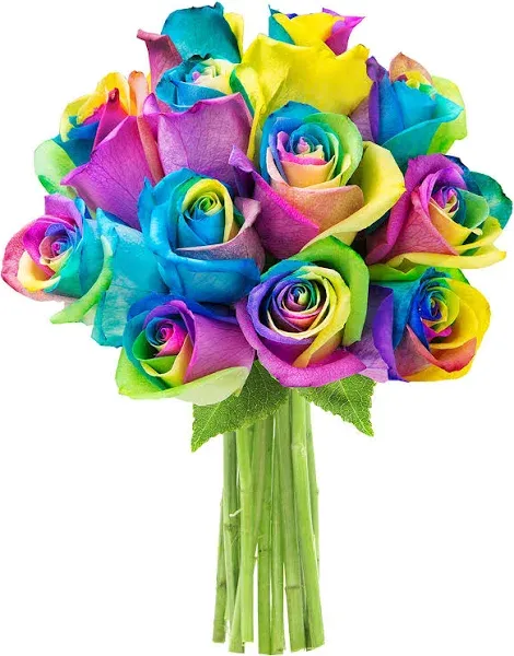 Bouquet of 12 Fresh Rainbow Roses Without Vase - Fall Collection - KaBloom Prime Next Day - Gift for Birthday,Anniversary, Get Well, Thank You, Valentine, Mother’s Day Fresh Flowers