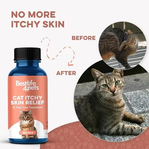 Gentle Allergy Medicine for Cats - Effective Itchy Skin Relief &amp; Healthy Coat