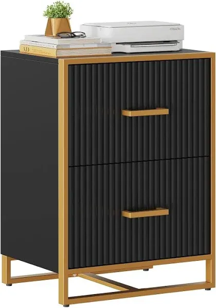  2 Drawer File Cabinet, Lateral Filing Cabinet for Home Office Black and Gold