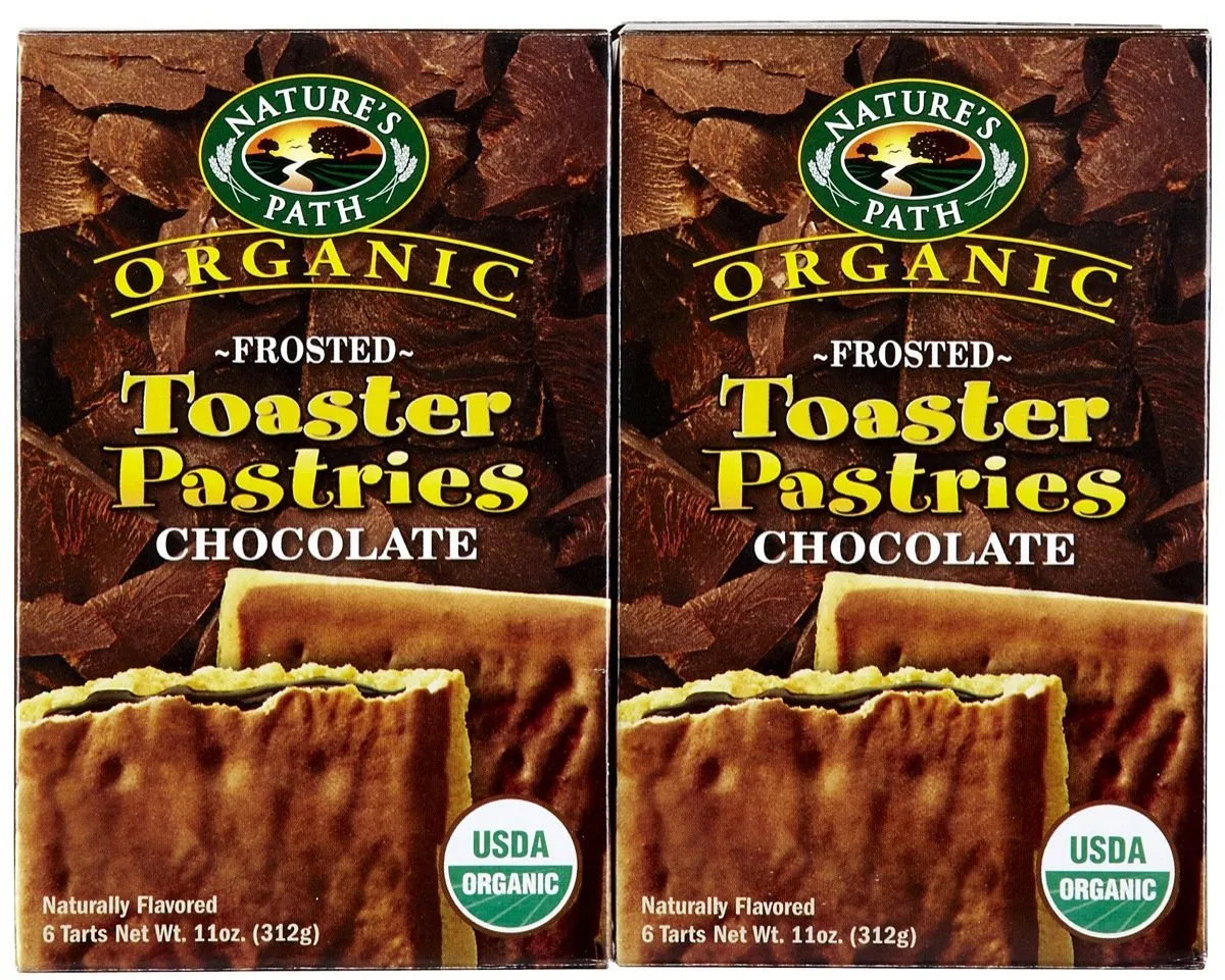 Nature's Path Organic Frosted Lotta Chocolotta Toaster Pastries