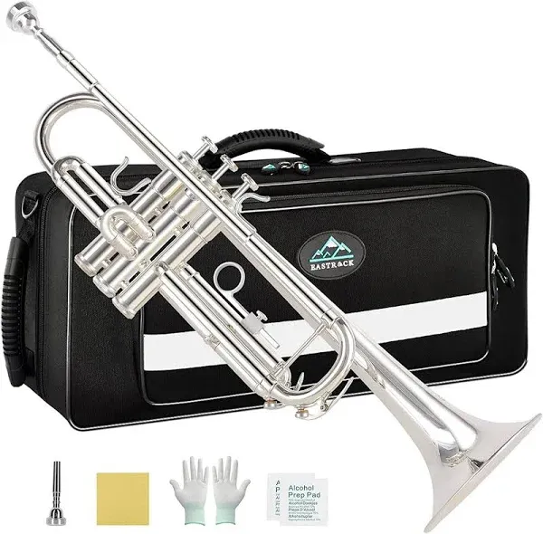 Musical Instruments For Student Beginner Or Experienced Kids, Adults, And Hard