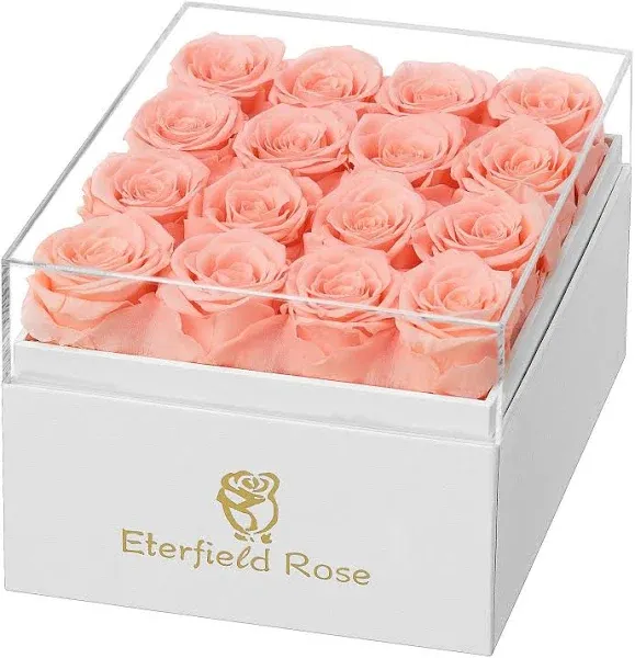 Eterfield Forever Flowers Preserved Roses Real Roses That Last a Year Rose Box Gifts for Her Mothers Day Valentines Day Christmas (Square White Box, 16 Champagne Roses)