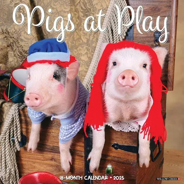 Willow Creek Press,  Pigs At Play 2025 Wall Calendar