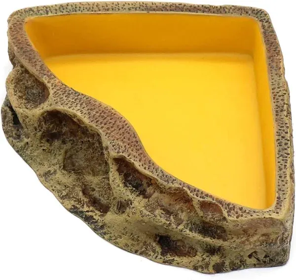 Reptile Feeder Resin Bowl Amphibian Reptile Bowl for Reptile Lizard Gecko Bea...