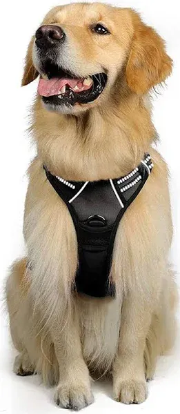 RABBITGOO DTCW006L Dog Harness No-pull Pet Adjustable Outdoor Vest, Size M -...